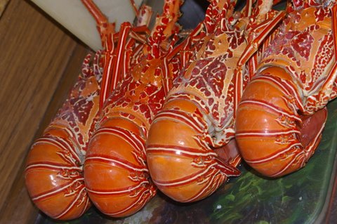 Four is a nice number when there are 4 crays and 4 people